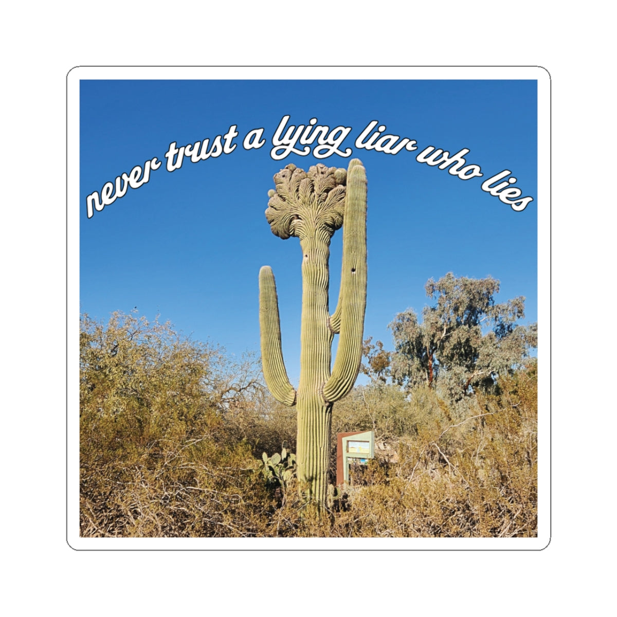 Never Trust A Lying Liar Who Lies Sticker