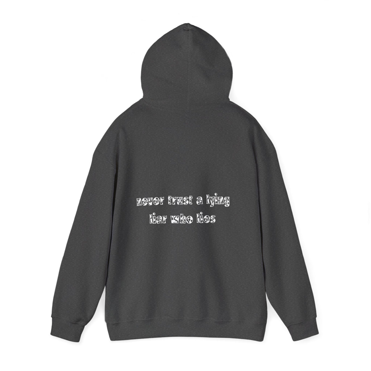 'Never Trust A Lying Liar Who Lies' Hooded Sweater