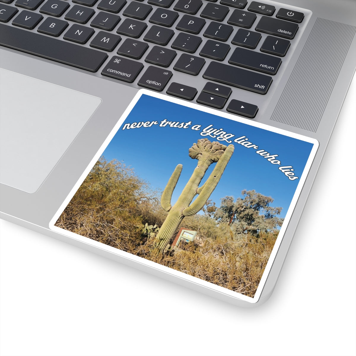 Never Trust A Lying Liar Who Lies Sticker