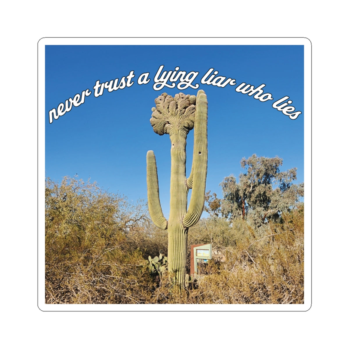 Never Trust A Lying Liar Who Lies Sticker