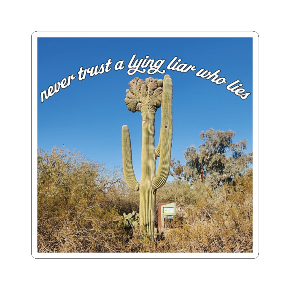 Never Trust A Lying Liar Who Lies Sticker